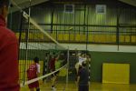 2012-02-10-MixDSC 0119