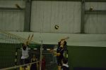 2012-02-10-MixDSC 0157
